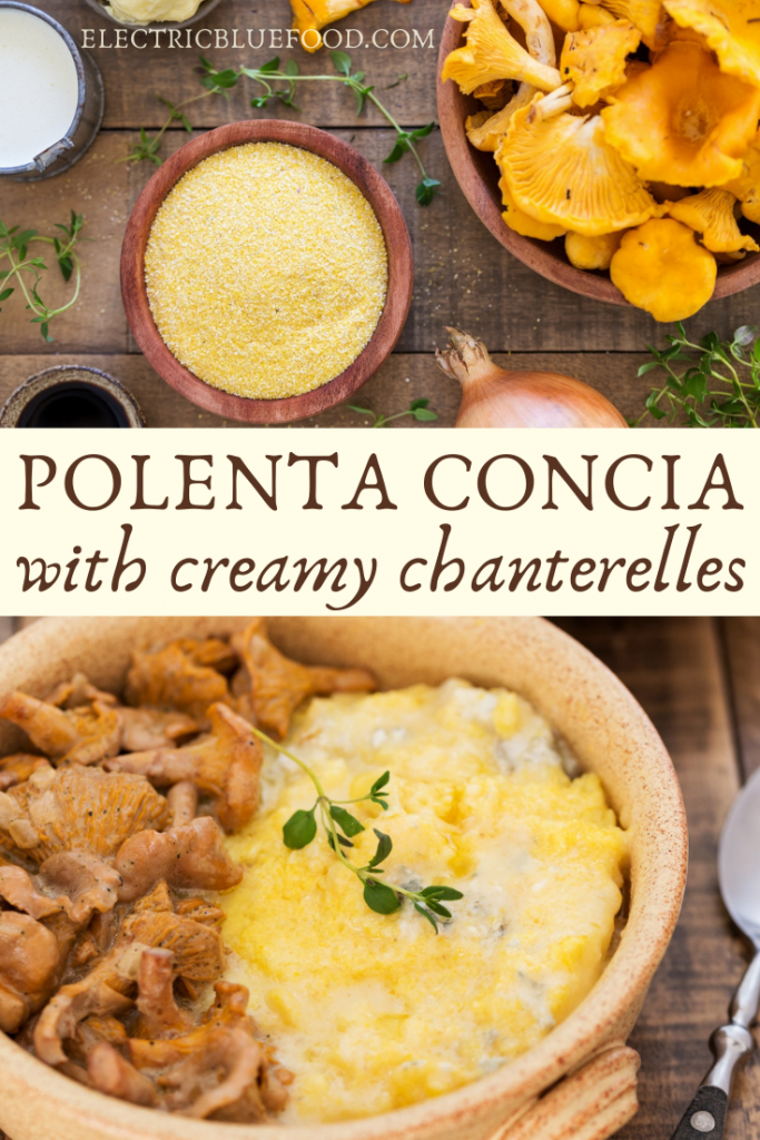 The richest polenta dish you can make, polenta concia with chanterelle sauce is a delicious vegetarian Alpine dish. Cheesy polenta with gorgonzola, taleggio and butter is served with a creamy and lighly tangy wild mushroom sauce. This is definitely a meal to remember, the best polenta recipe for cheese and mushroom lovers.