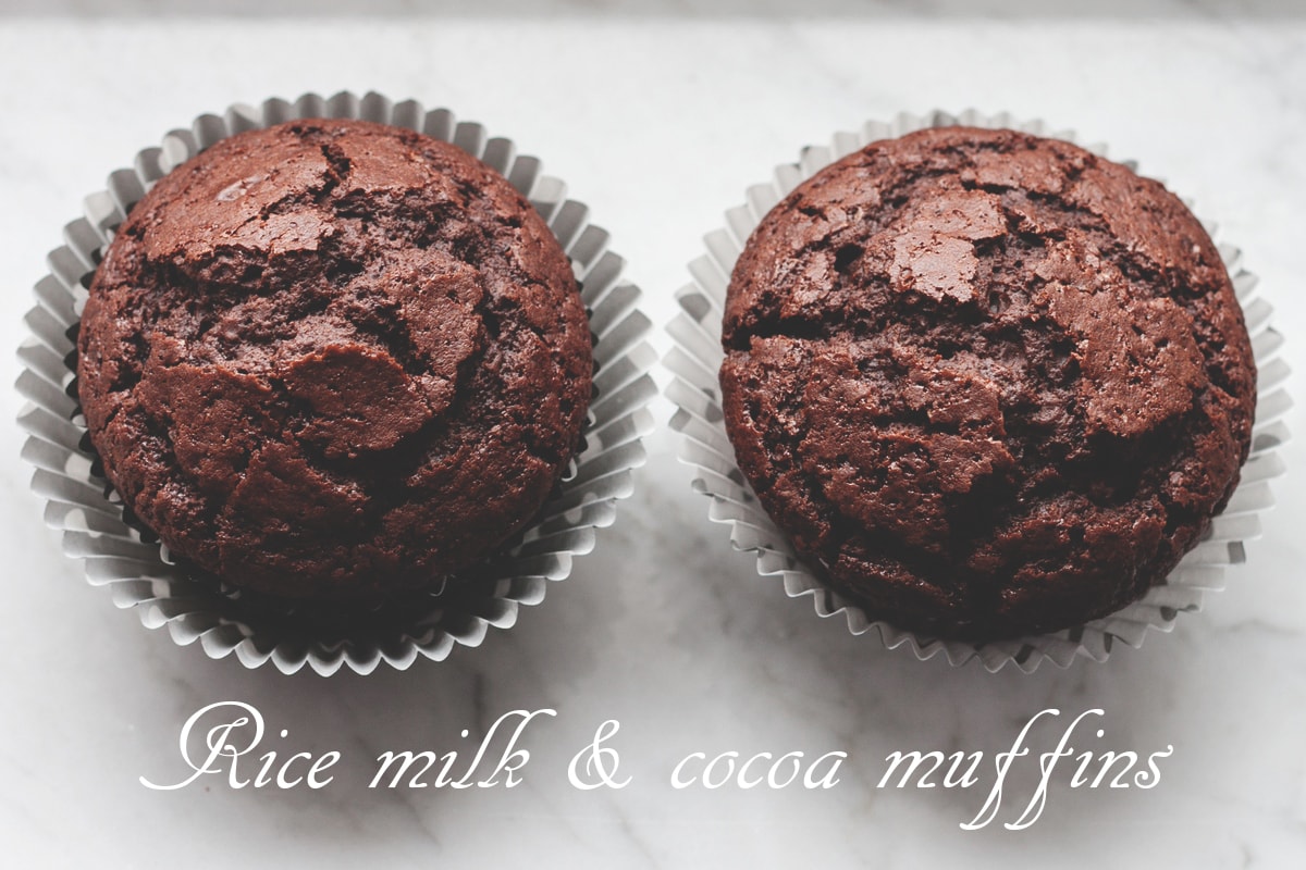 Rice milk and cocoa muffins