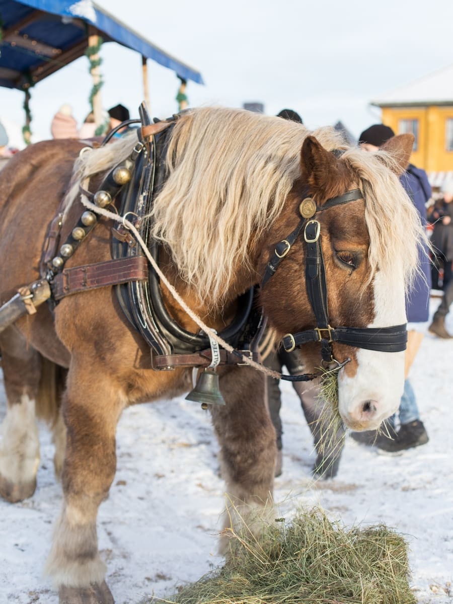Swedish Christmas Market at the Falun Copper Mine, a World Heritage Site.