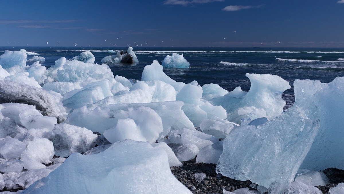 Jökulsárlón glacier lagoon