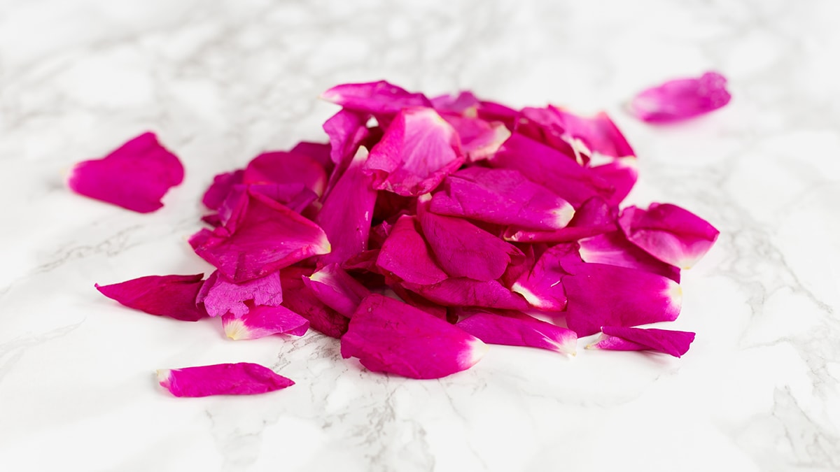 Rose petals in sugar preserve recipe