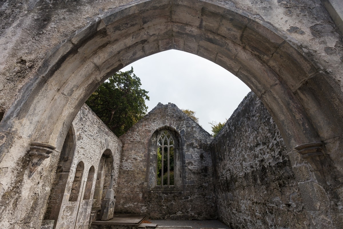 Ruins of Ireland: Muckross Abbey