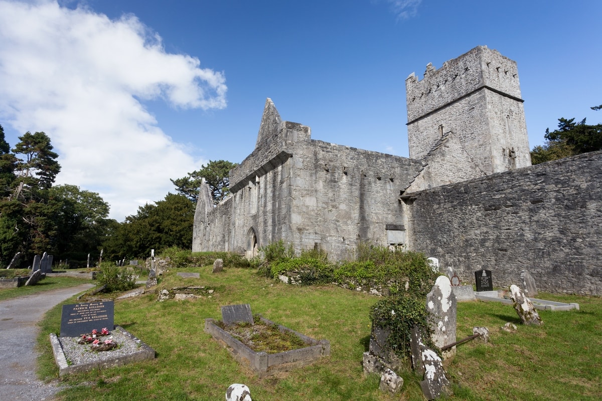 Ruins of Ireland: Muckross Abbey