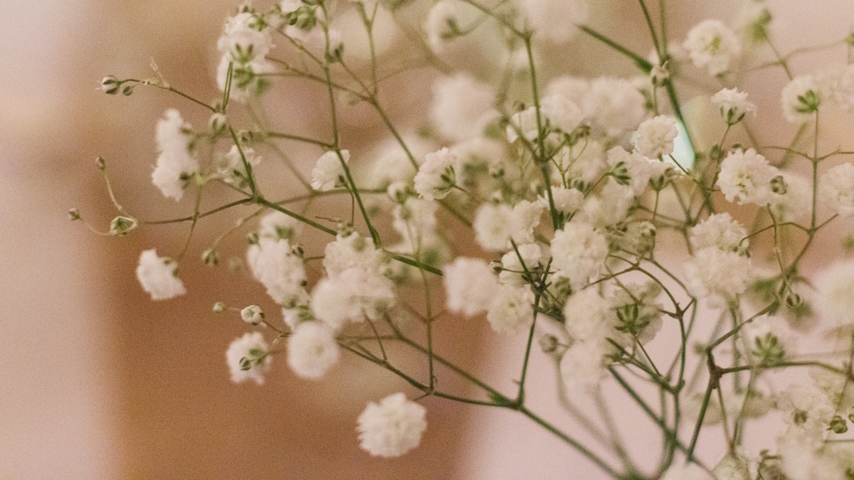 DIY wedding table decorations. My wedding reception food and decorations.