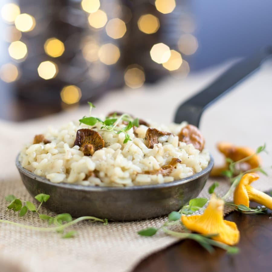 Creamy chanterelle risotto