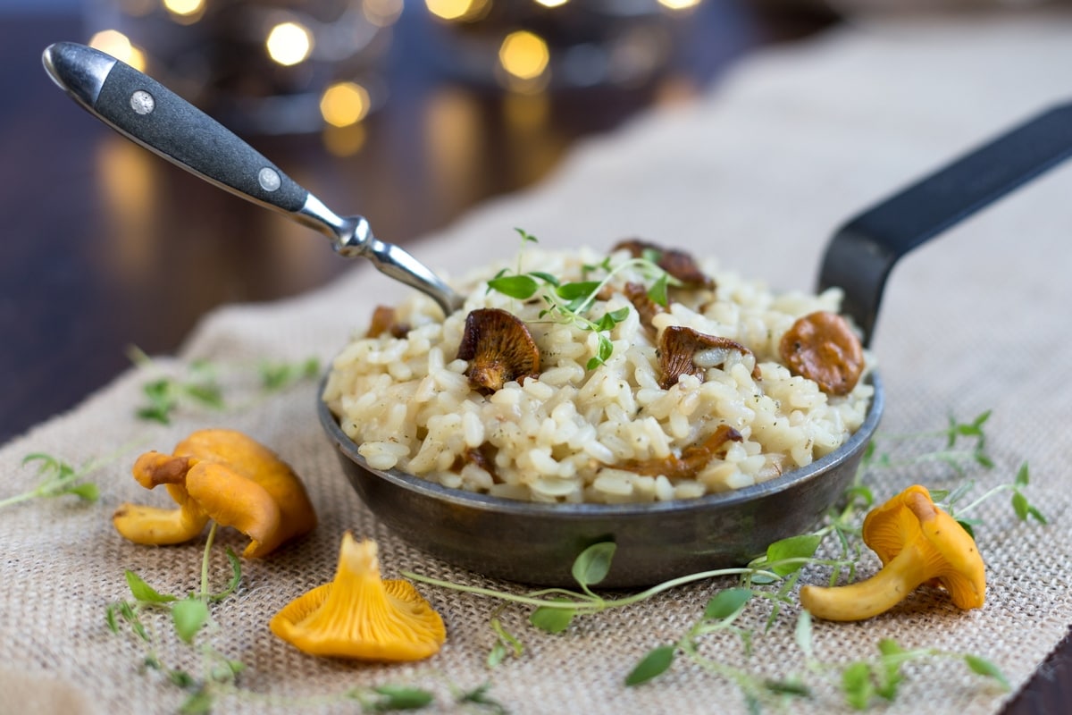 Creamy chanterelle risotto
