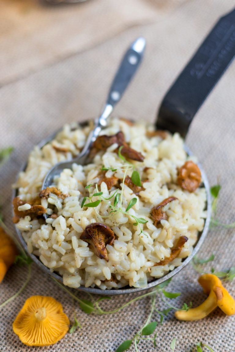 Creamy chanterelle risotto