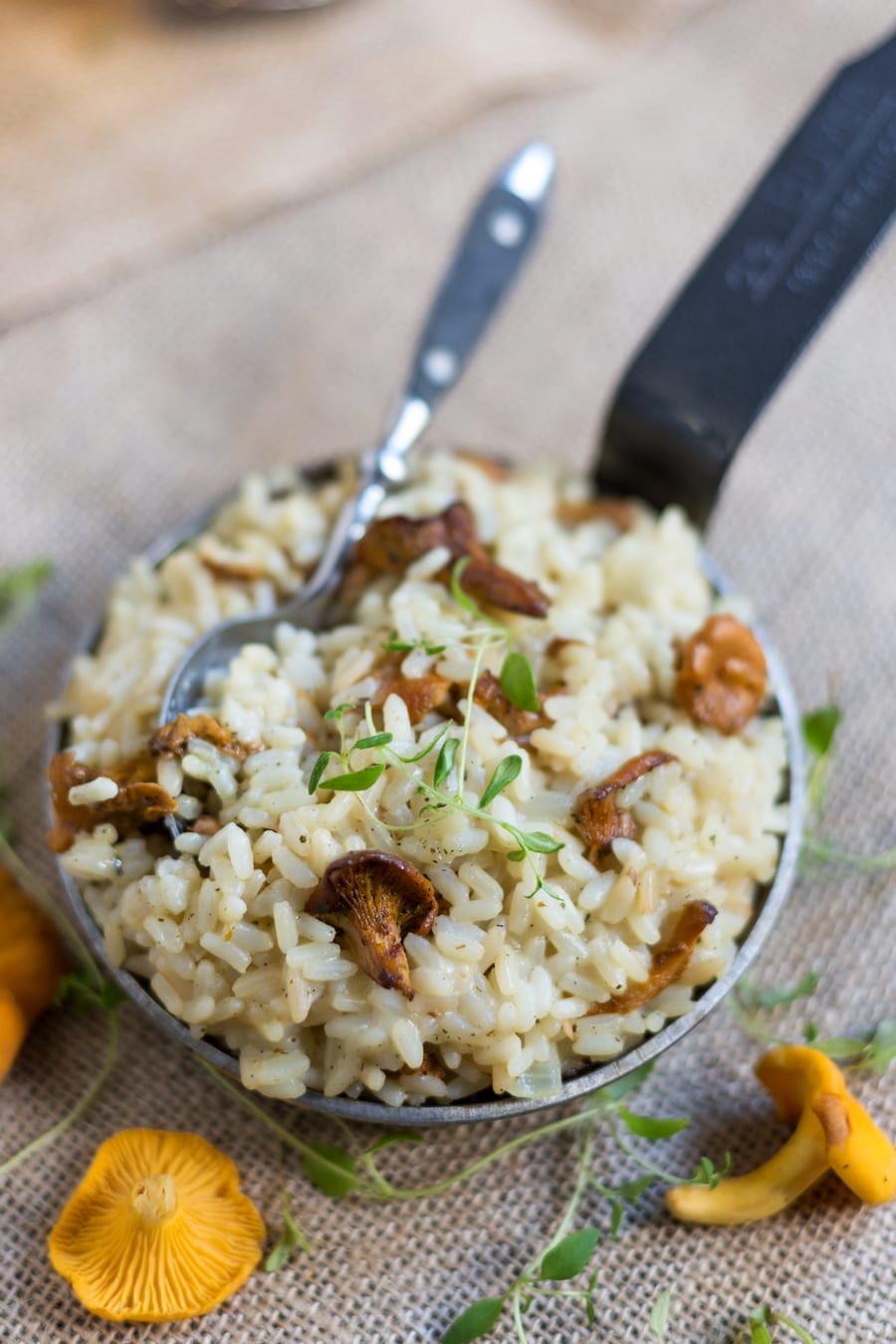 Creamy chanterelle risotto