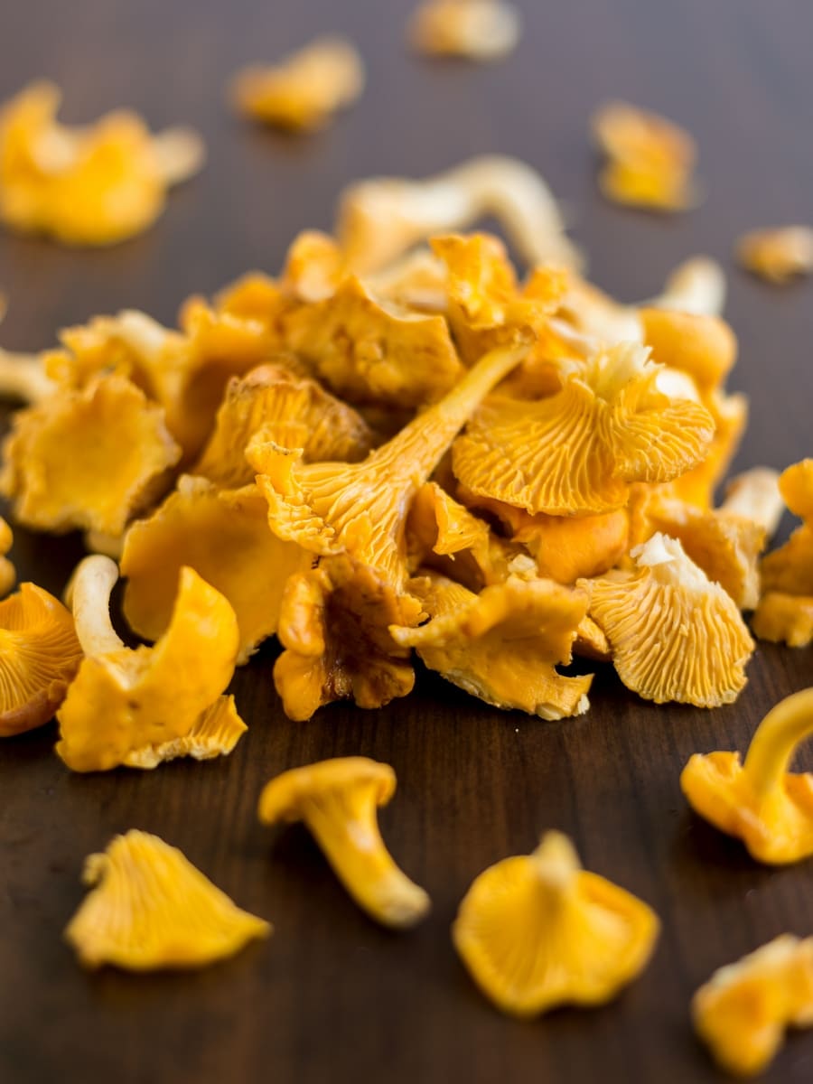 Chanterelle mushrooms