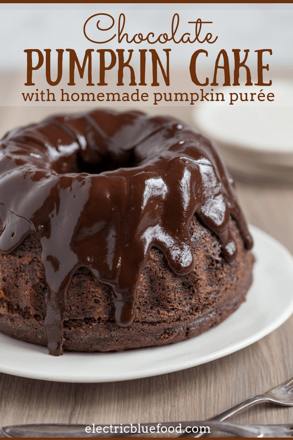 Chocolate pumpkin cake with chocolate ganache