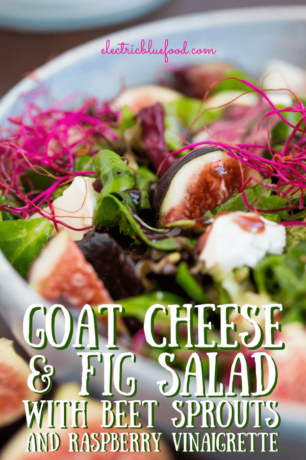 Fig and goat cheese salad with beet sprouts and raspberry vinaigrette