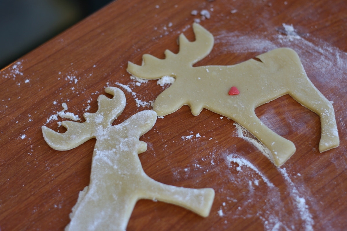 moose cookies