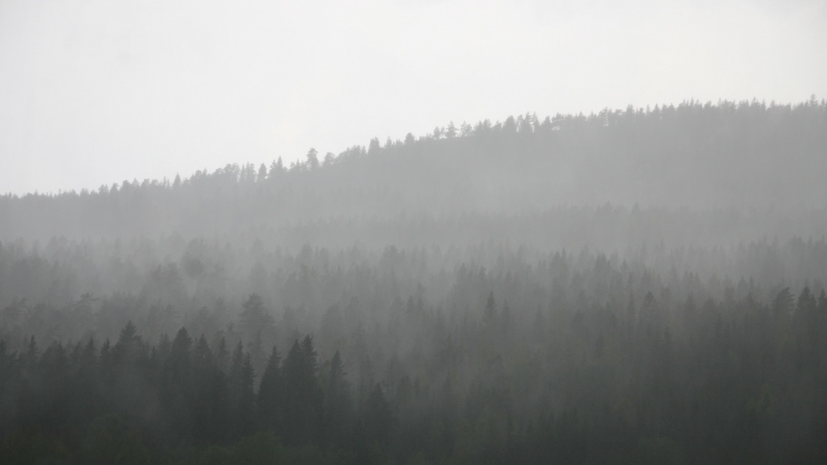 Oslo nordmarka from Kringsjå