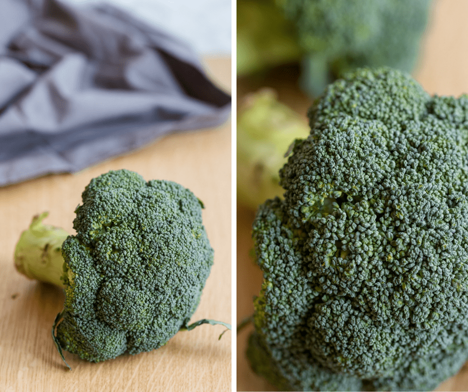 fresh broccoli closeup