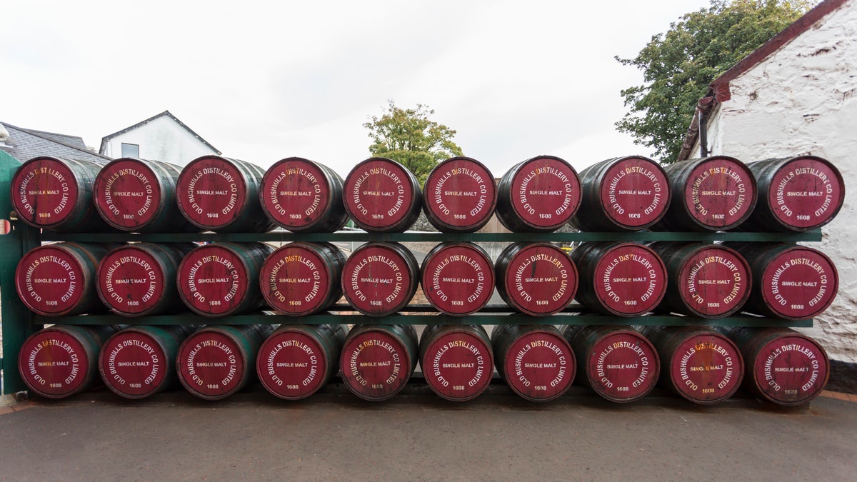 bushmills distillery