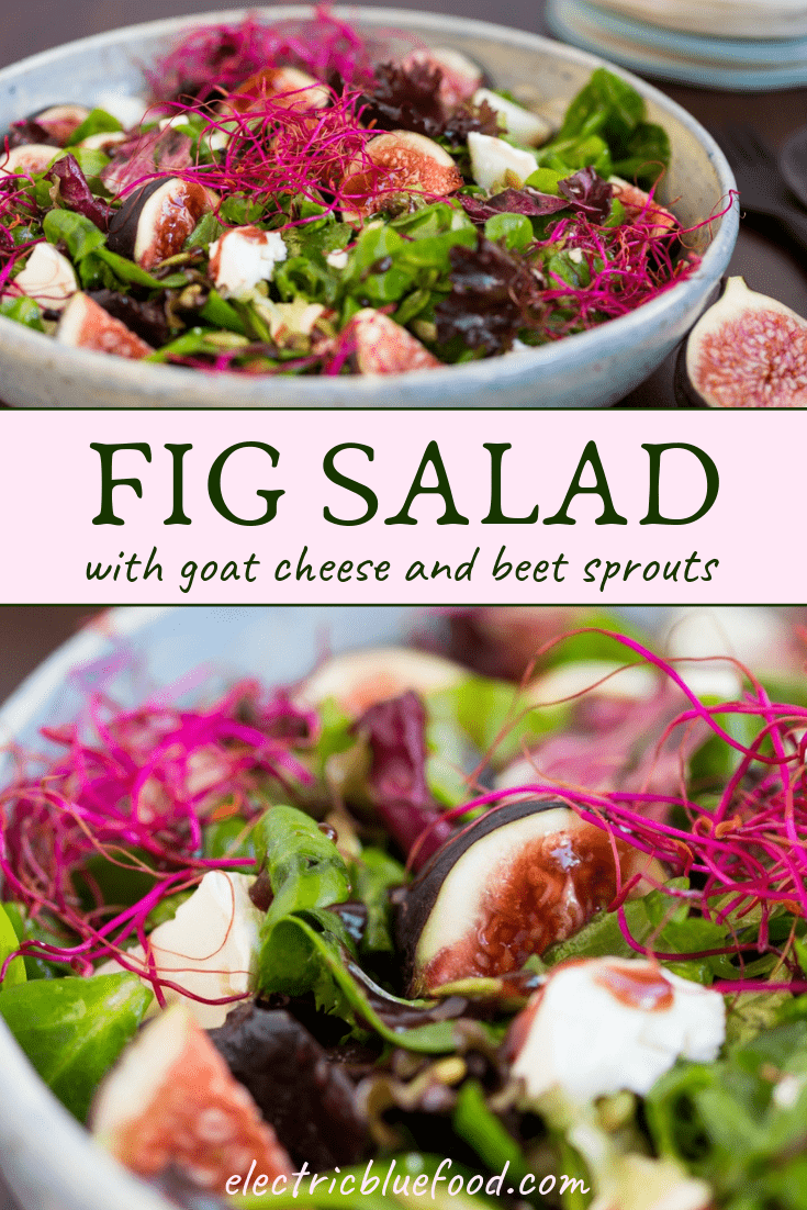 Fig salad with goat cheese and beet sprouts on a mixed greens base.