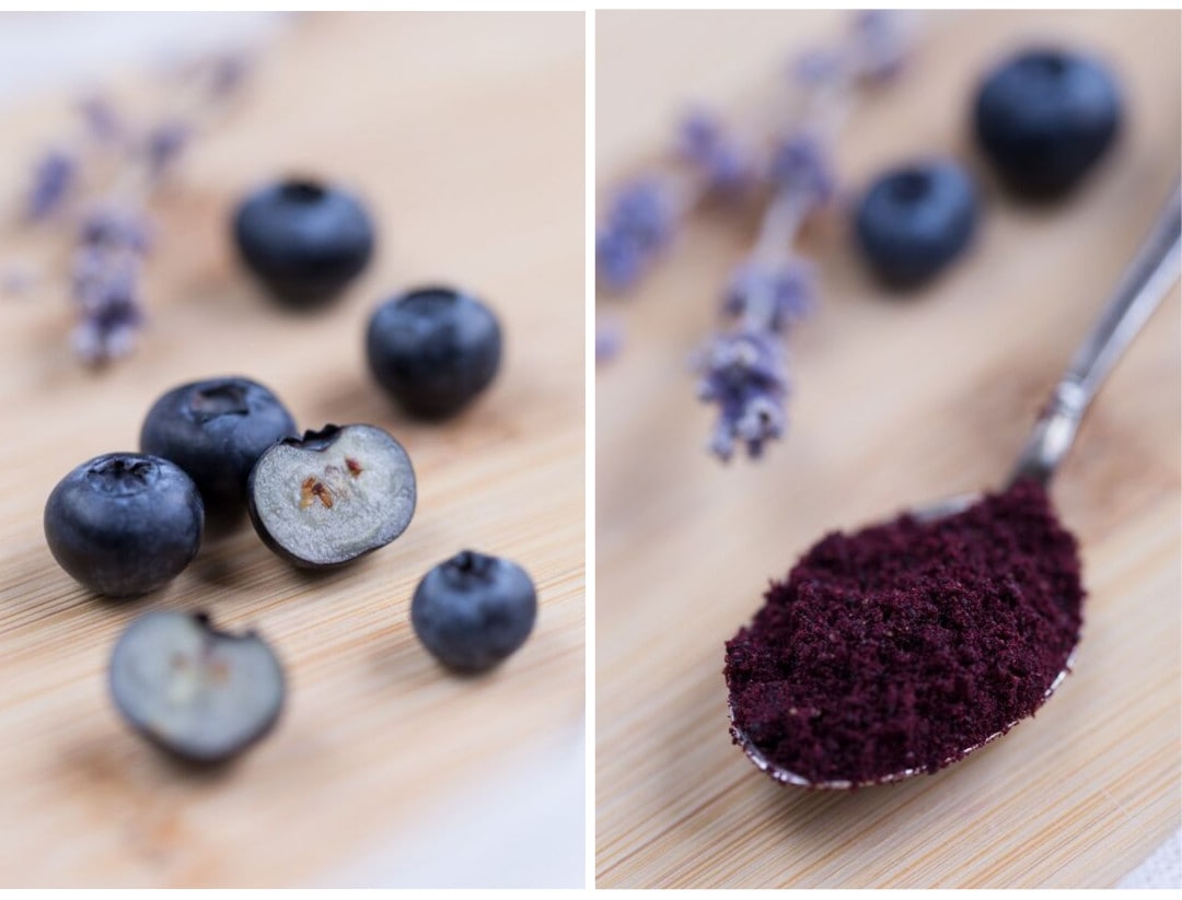 Fresh blueberries with their white flesh as opposed to dark purple dried bilberry powder.