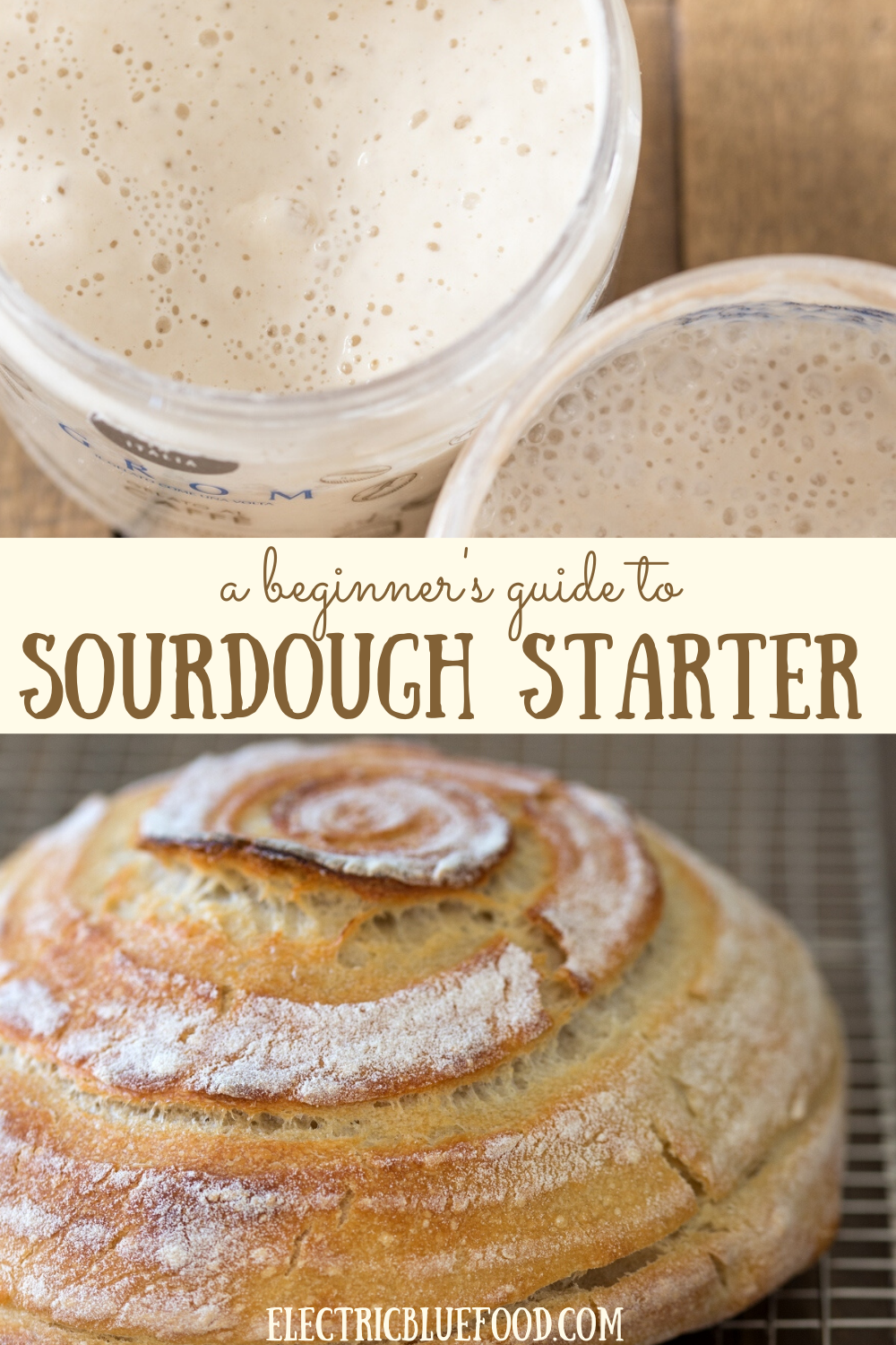 A beginner's guide to sourdough starter from scratch. Making your first batch of sourdough starter is easier than you think. Sourdough recipe for beginners.