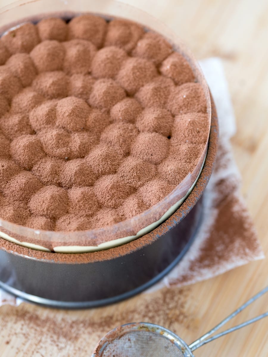 Tiramisu cake being dusted with cocoa powder.
