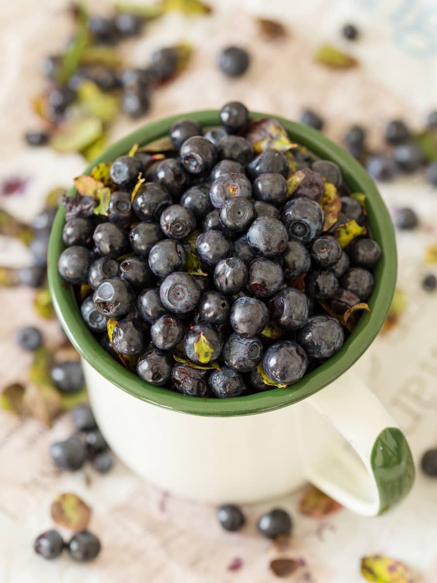 Tin mug filled with fresh bilberries.
