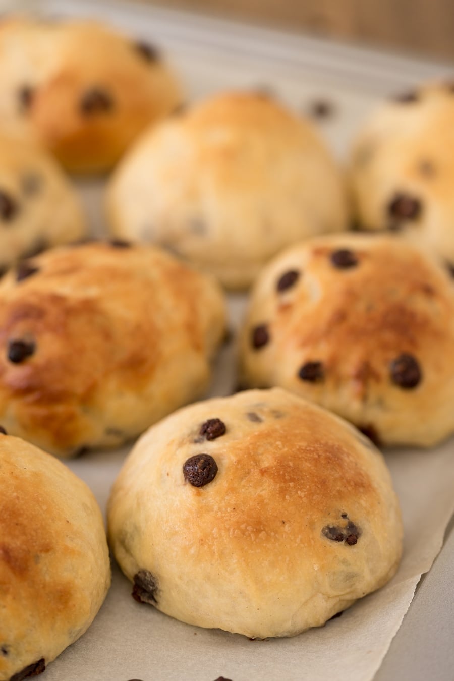Norwegian chocolate chip buns with cardamom.