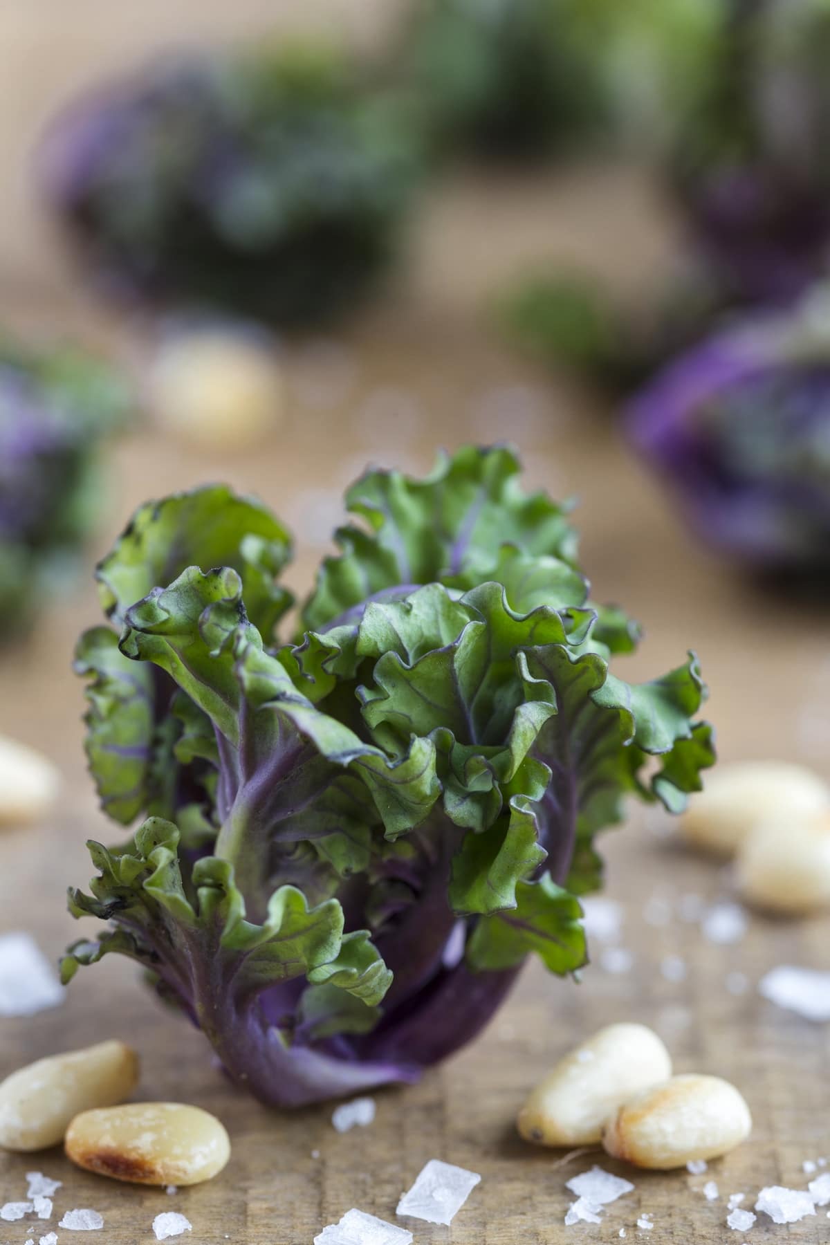 Closeup of kalette sprout.