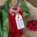 A small bottle of rhubarb and redcurrant syrup.