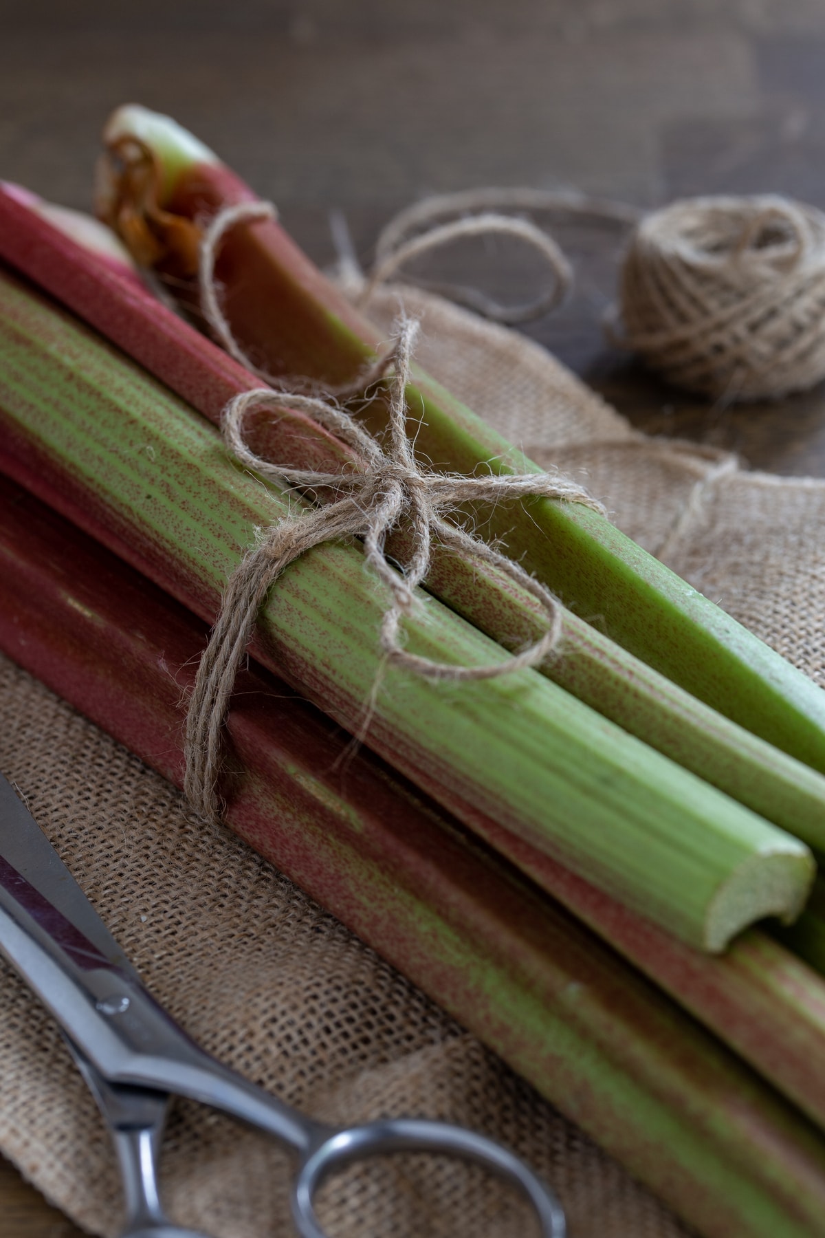 Rhubarb stalks tied with a jute thread.